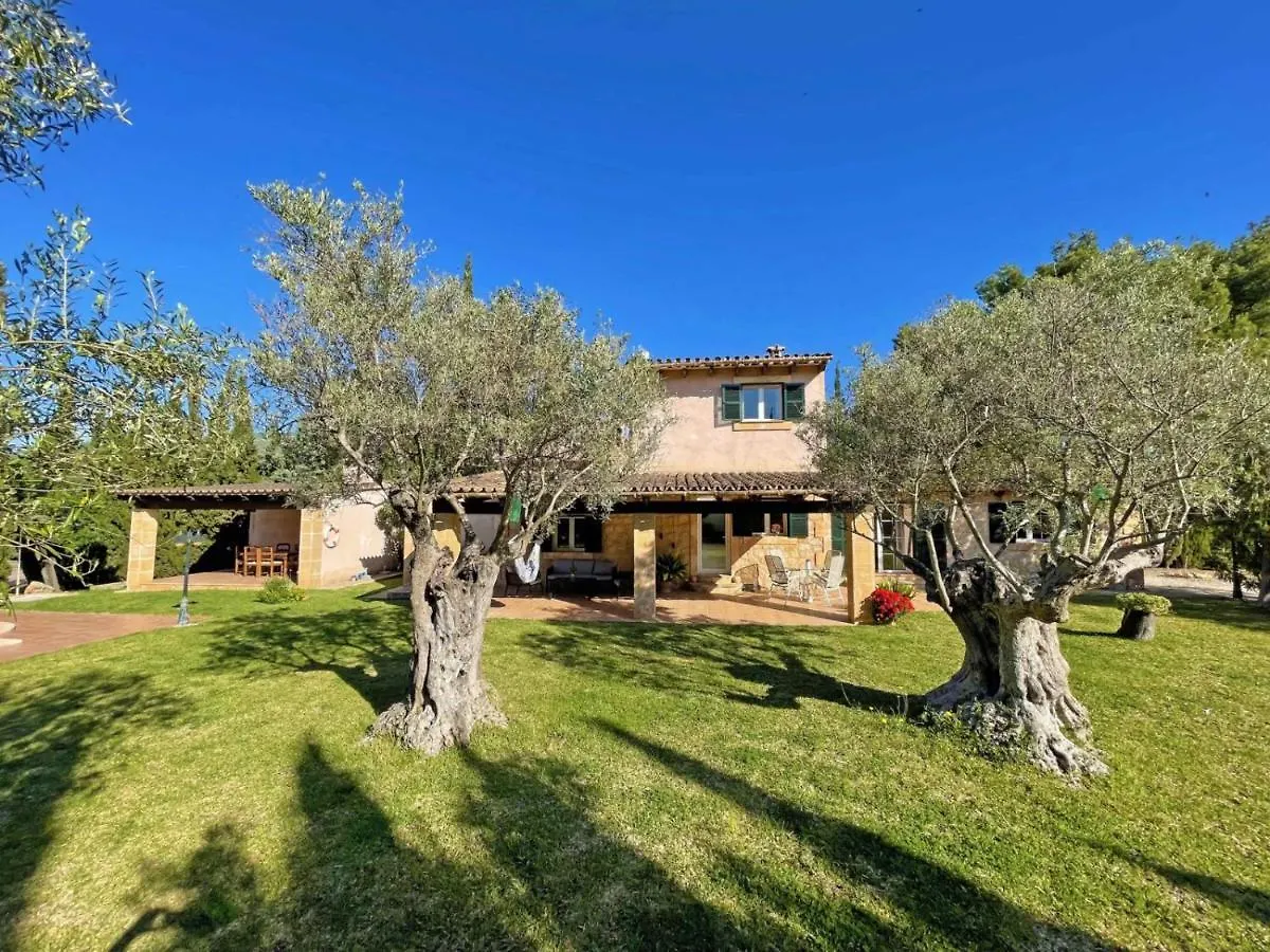 Finca Caseta Des Pradi Biel Lloseta 0*,