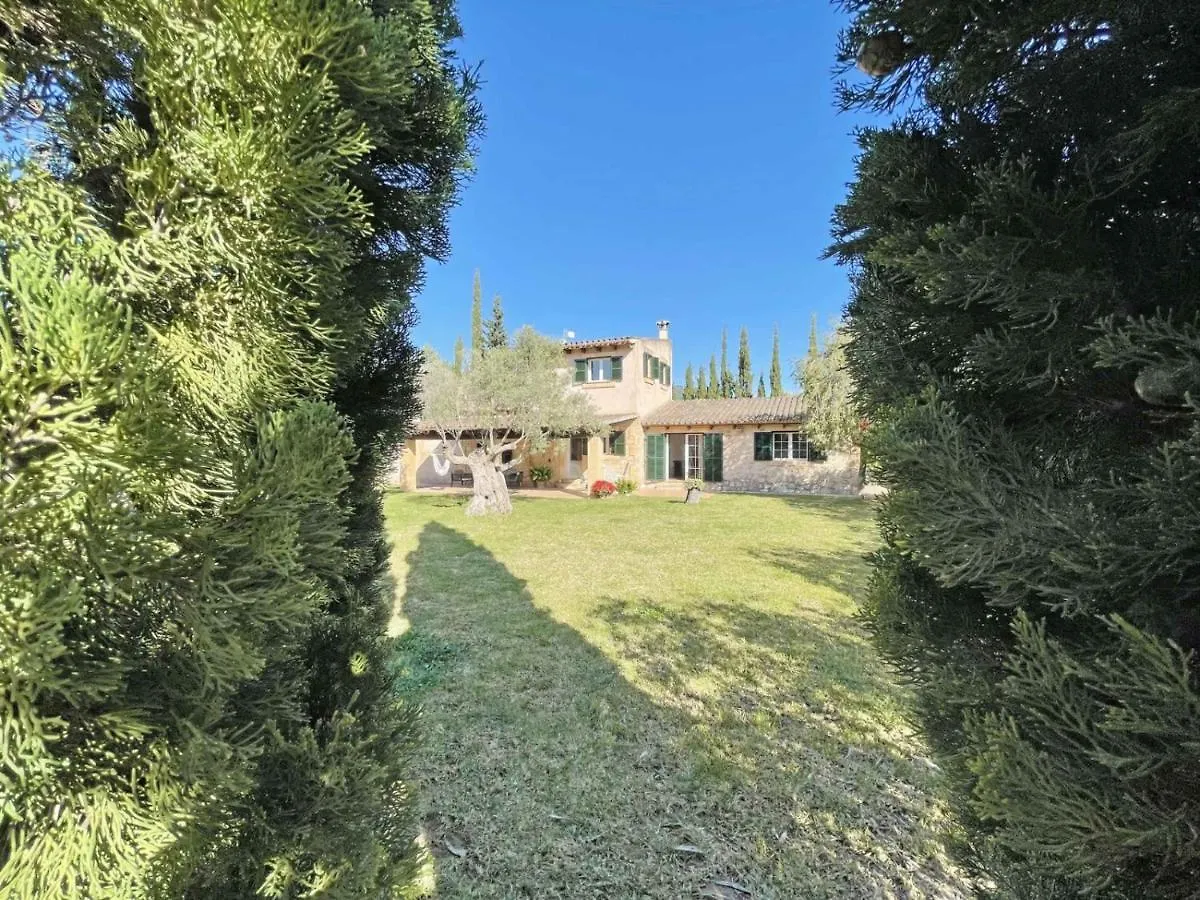 Finca Caseta Des Pradi Biel Lloseta